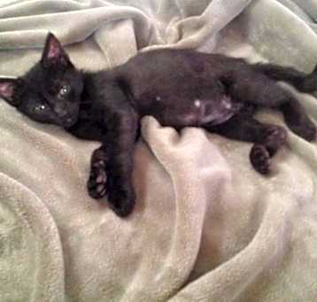 Photo of Curly