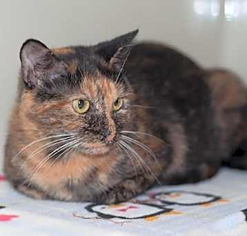 Photo of Mayble/Mabel