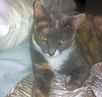 Photo of Maggie