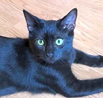 Photo of SWEET STINKY