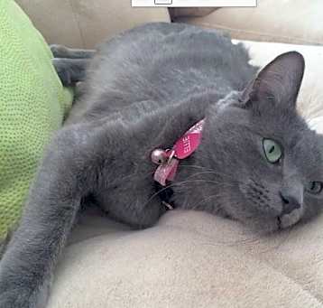 Photo of Ellie