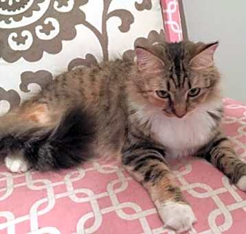 Photo of Cleopatra
