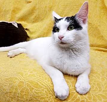 Photo of Stella