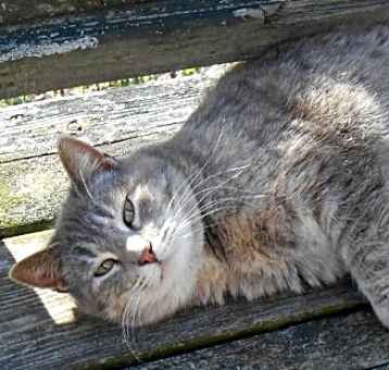 Photo of Traci