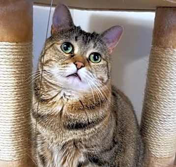 Photo of Winky