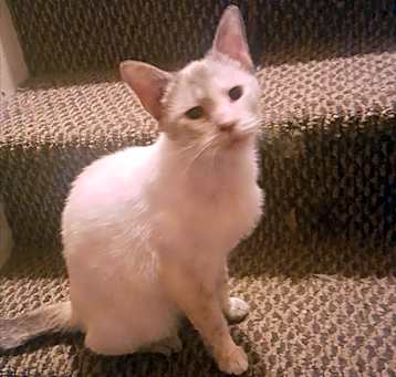 Photo of Vee