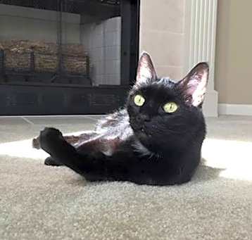 Photo of Evie