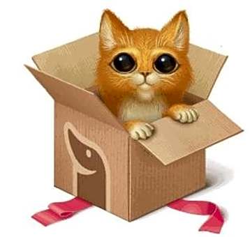 Photo of Any Kitten