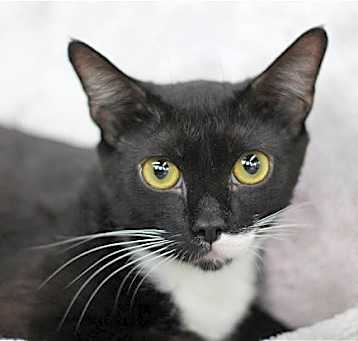 Photo of Boots M