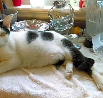Photo of Wednesday