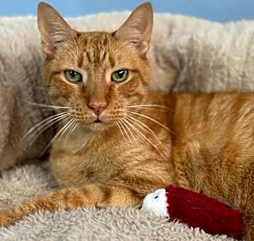 Photo of Farley