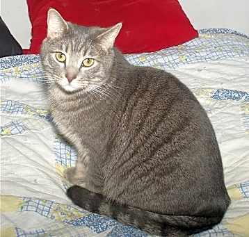 Photo of Victor