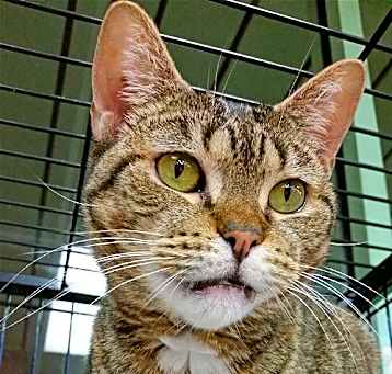 Photo of Jasmine