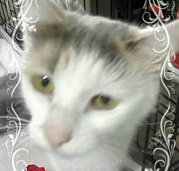 Photo of Ann