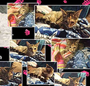 Photo of King Arthur