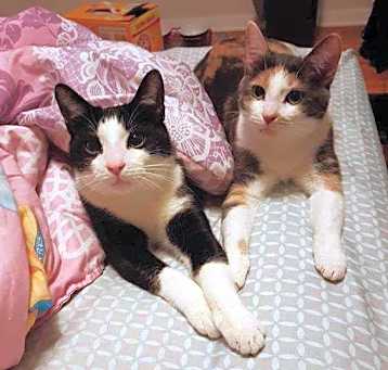 Photo of Baxter + Lilly