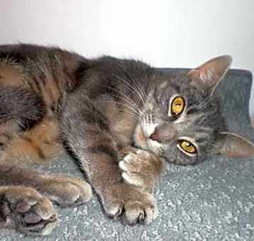 Photo of Baby Girl