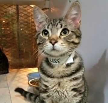 Photo of Timmy Too
