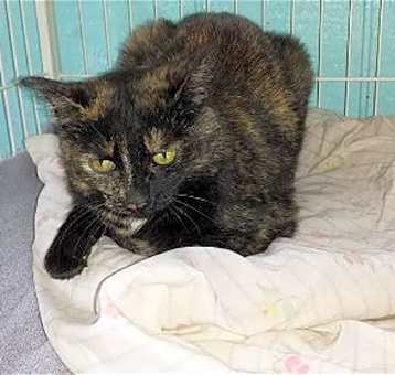 Photo of Maggie