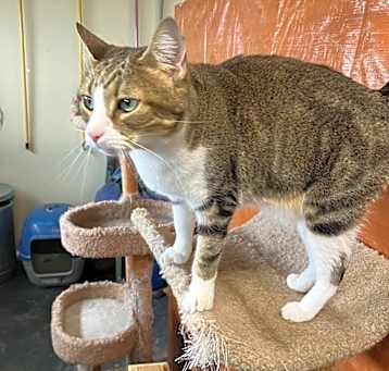 Photo of Jasmine
