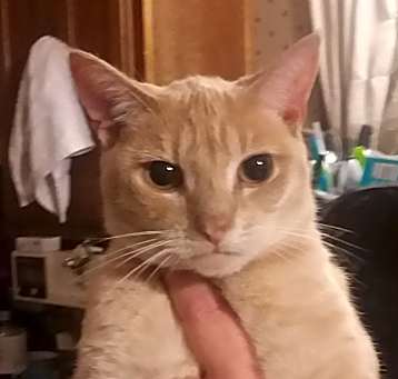 Photo of Trissy