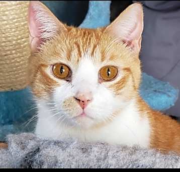 Photo of Theodore