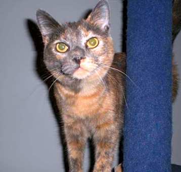 Photo of Molly