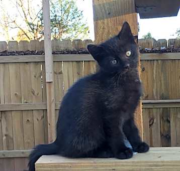 Photo of Lucifer