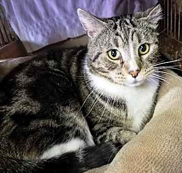 Photo of Scootie