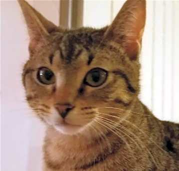 Photo of Cindy