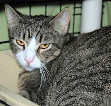 Photo of Graycie