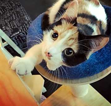 Photo of MaryAnn