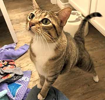 Photo of Boots 
