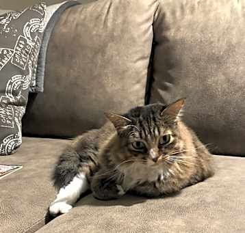 Photo of Lily