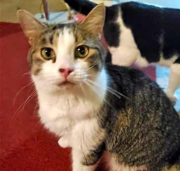 Photo of Frankie-Courtesy Post!