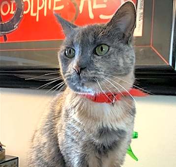 Photo of LuLu