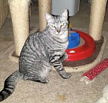 Photo of Sechi-Courtesy Post!
