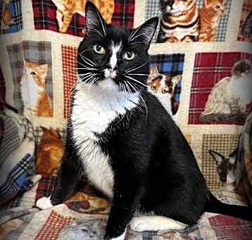 Photo of Bennie