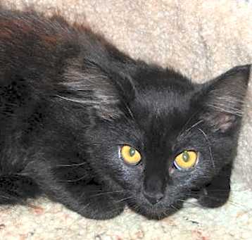 Photo of Mimi