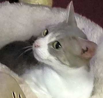 Photo of Mona