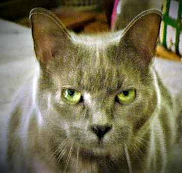 Photo of Heather