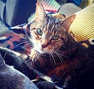 Photo of Maude