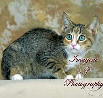 Photo of Gretta