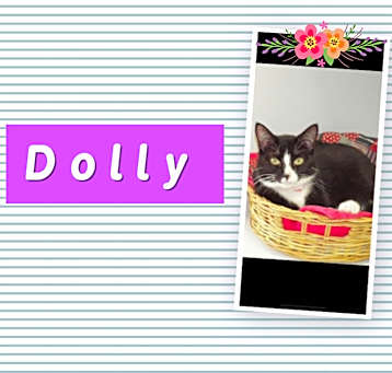 Photo of Dolly