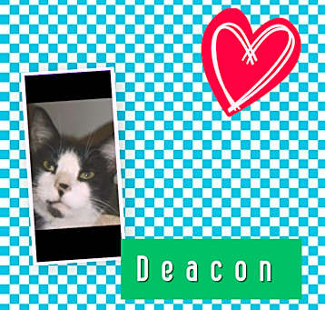 Photo of Deacon
