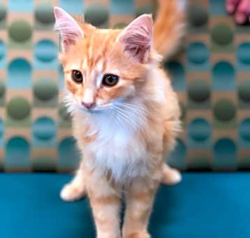 Photo of Abigale