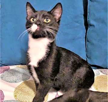 Photo of Alphonse