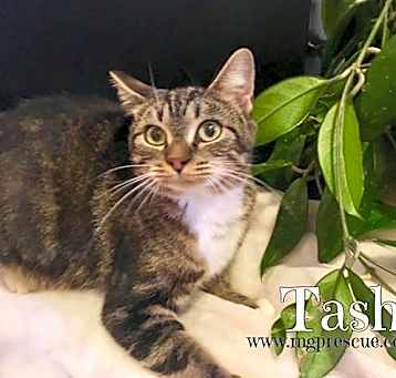 Photo of Tash