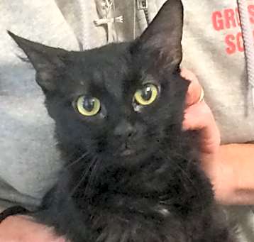 Photo of Peanut