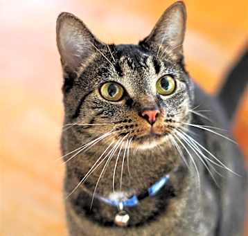 Photo of Mr.Dude